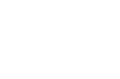 FLEXI